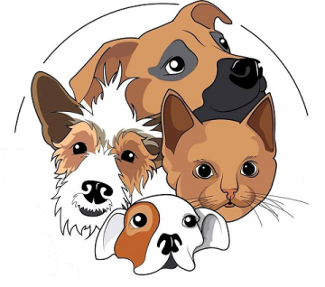 Animaux errants
