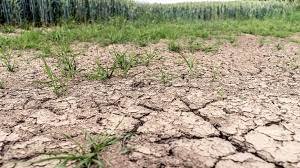 Restriction des usages de l'eau niveau Alerte