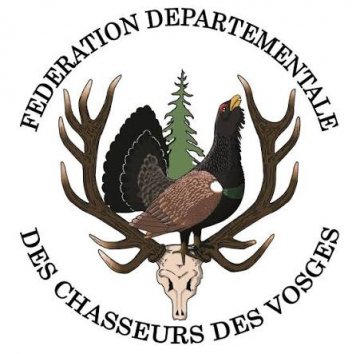 Comptages aux phares - Dénombrements lièvres