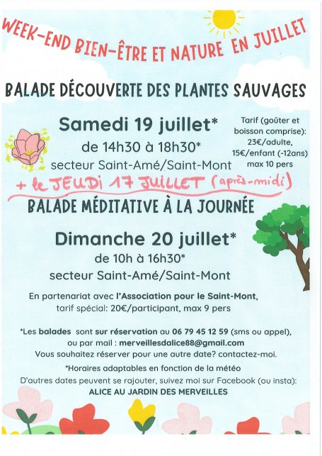 BALADE DÉCOUVERTE DES PLANTES SAUVAGES
